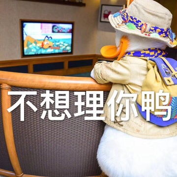 我的收藏