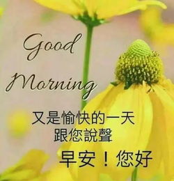 早上表情问候语早上好图片动态大全