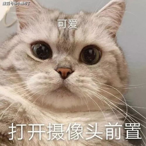 成都营业性演出许可证怎么办理