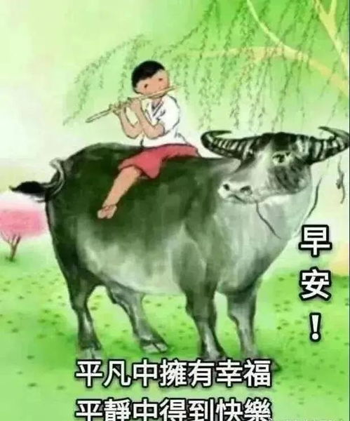 清晨太阳升起,明亮你的心情传达一声问候,温暖你的心情,早安