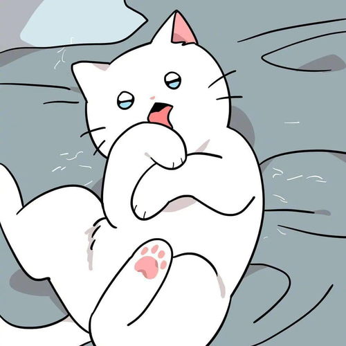 送你一沓可爱猫猫,拿去做头像吧