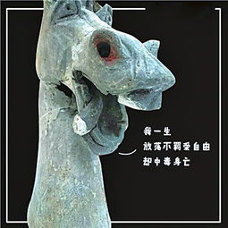 文物界的泥石流来了,古代人原来是这样斗图的
