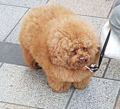 快考试了,说说你最担心的是什么