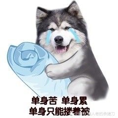 适当的情话能让你科学步入渣男行列,摆脱直男称号