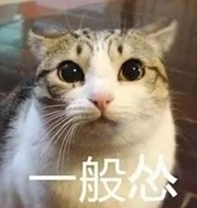 搞笑猫猫表情包幽默笑话