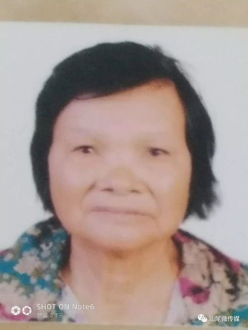 海丰70岁老人失联两天求扩散寻人