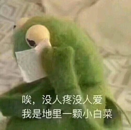 搞笑斗图表情包30张表情包多的人,没对象