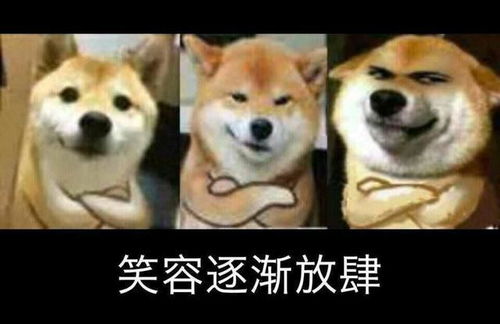 搞笑狗狗表情包第四弹
