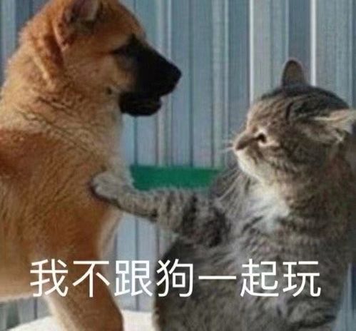 百万吧友手撕奸商,闲鱼成了我的快乐源泉