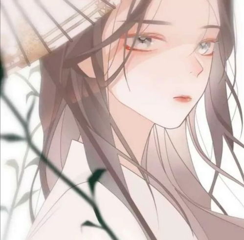古风女头何来人间一惊鸿,只是世间一俗人腾讯新闻