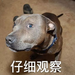 继母将他抚养成人,长大后他直接为继母盖了一座楼