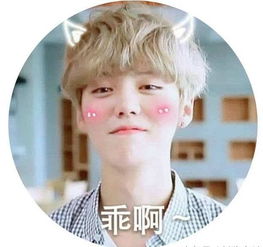 鹿晗与迪丽热巴的情侣头像,果然还是陆地夫妇配