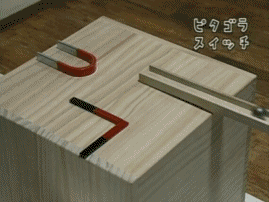 胖子我为你骄傲,你终于为胖子争口气