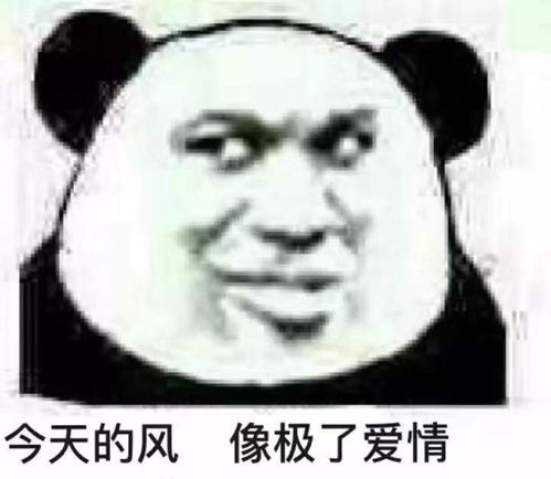 熊猫头表情包这句话我不喜欢,你换一句
