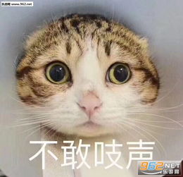 皮这一下你快乐吗表情包图片有没有一点点表情包下载乐游网游戏下载