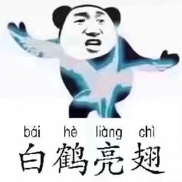 为什么我搭讪的的女孩子都有男朋友不过还好我暂时安全