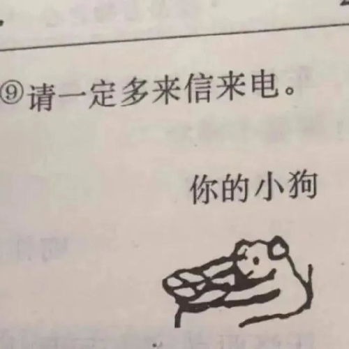 表情包最新搞笑沙雕聊天斗图表情包