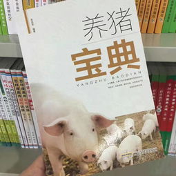 搞笑趣图看完农民工的工资条,你也配说自己是搬砖的
