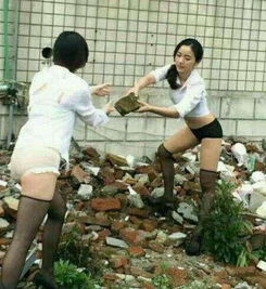 搬砖表情图片搞笑妹子