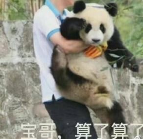 烂大街表情包下载网上超火的烂大街表情包搞笑图片高清无水印免费分享下载v1.0安族软件网