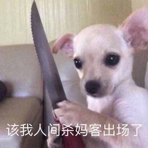小说