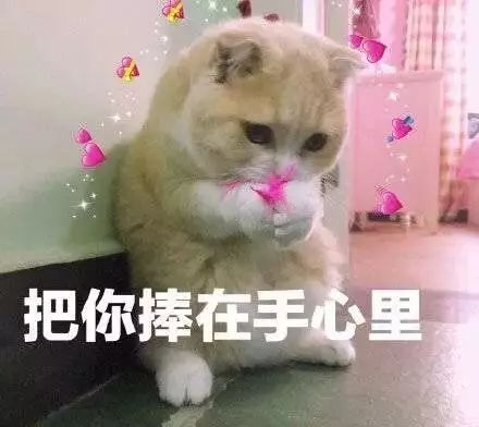表情包鼓励自己坚持到底的晚安心语,句句高冷有骨气