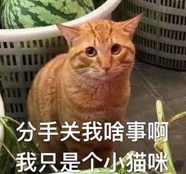 求这个表情包的原图