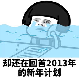 表情丨我的2018新年计划是这样的