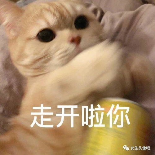 好看独特的微信头像,2020最流行的微信头像