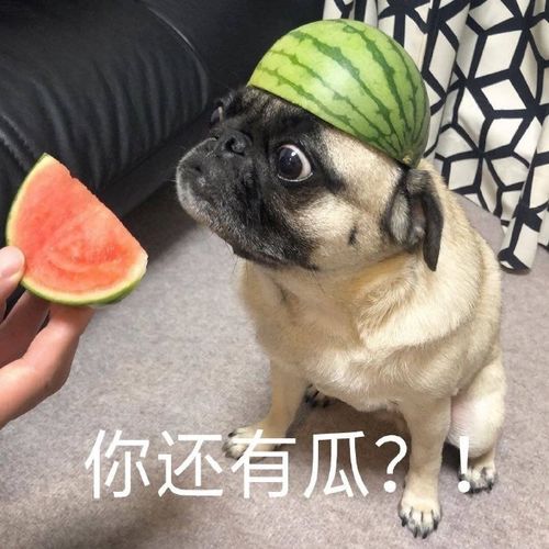 搞笑沙雕文案,打工不仅能致富,还能交友娶媳妇