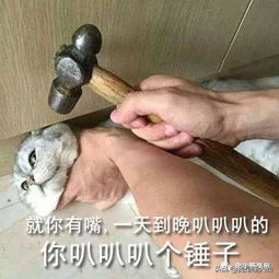 搞笑日常61期上次就是看了你真挚的眼神,偷了咱妈一百块钱