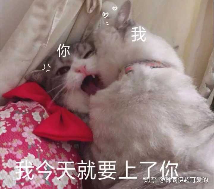 表情你手机里用了超久的表情包是怎样的韩同伊超可爱的的回答表情