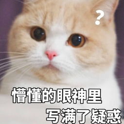 鬼畜版搞笑表情包身为靓仔的我已经习惯了孤独