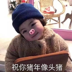 超实用拜年表情包大放送