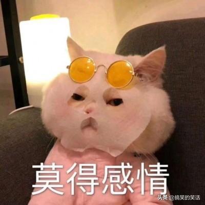 经典爆笑收件人冷笑话,糗事男神搞笑冷笑话