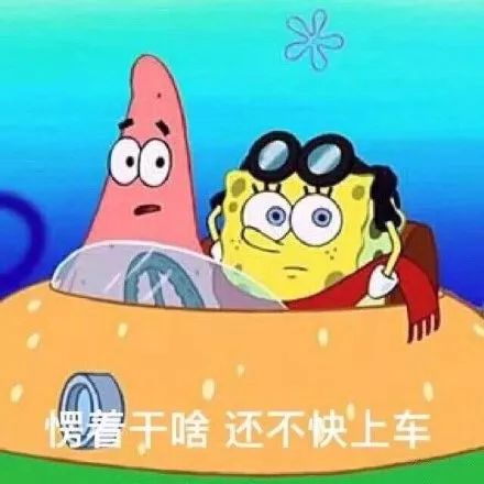 抖音潮图表情包丨再和奶茶我就是狗