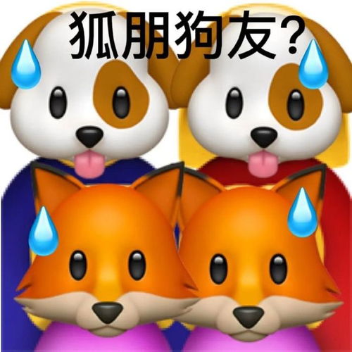 搞笑gif趣图无法直视,是男是女傻傻分不清了