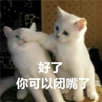 表情包可爱搞笑猫咪