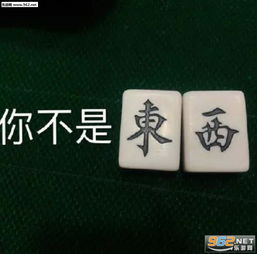 南上加南你不是东西麻将表情包白白胖胖充满希望图片表情包下载乐游网游戏下载