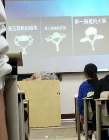 感受一下医学生的课堂内容