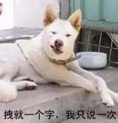 啊啊啊啊这不是我我不听我不听我不听