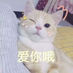 花呗还清了吗||那你还在添加购物车