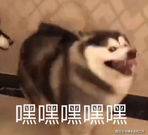 上班过敏我仿佛病了,只要上班就难受的病,这波晒图亮了