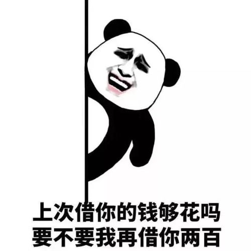 催人还钱表情包