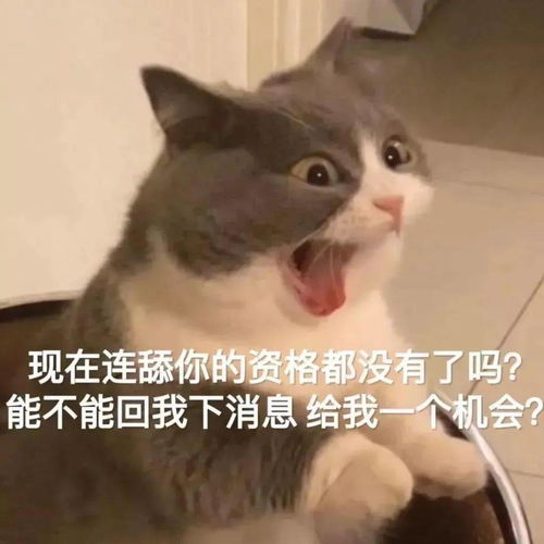 日常沙雕表情包