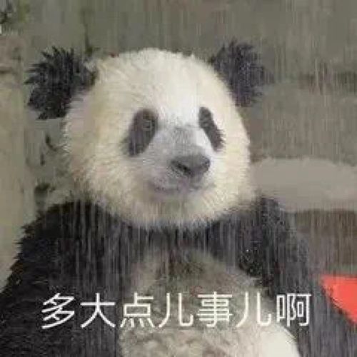 微信聊天群斗图搞笑表情包