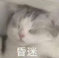 太呴势,上海下周或迎梅雨季北方多地地表温度超70