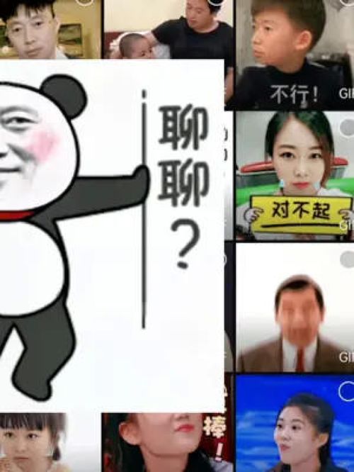 用自己头像和朋友聊天好玩又有趣晒出我的专属表情包