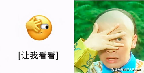 明星玩梗微信新的表情包,杨洋苏有朋包贝尔,谁更搞笑