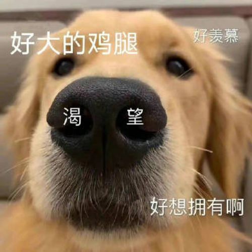 韩国娱乐圈又出无语大事件了容貌身体焦虑,怎么破